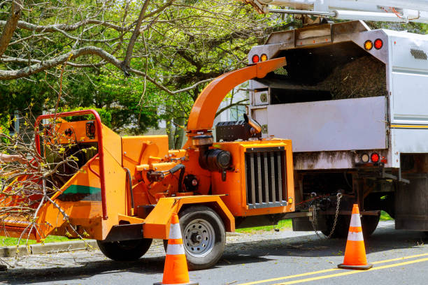Best Tree and Shrub Care  in Avenel, NJ