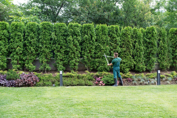 Best Weed Control  in Avenel, NJ