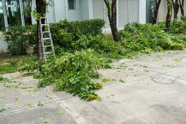 Best Pest Control for Lawns  in Avenel, NJ
