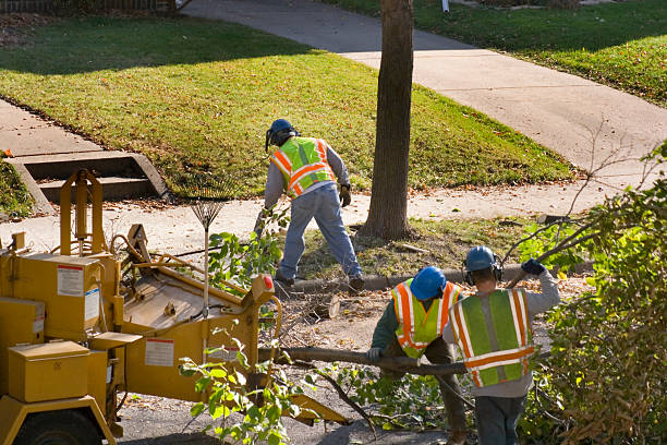 Best Leaf Removal  in Avenel, NJ